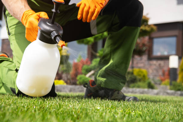Pest Control for Restaurants in Tunkhannock, PA
