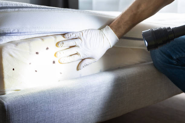 Best Local Pest Control Services  in Tunkhannock, PA