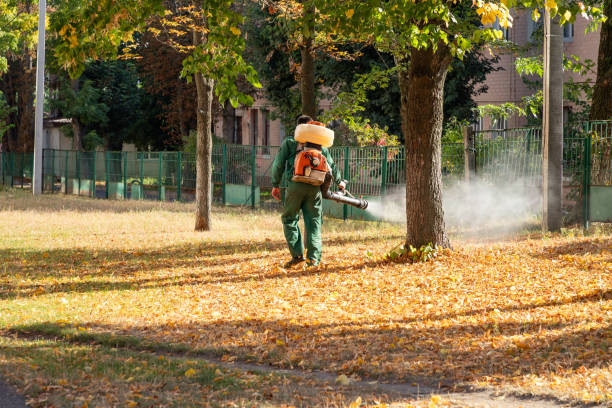 Best Best Pest Control Companies  in Tunkhannock, PA