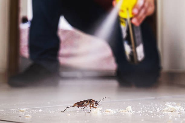 Flea Control Services in Tunkhannock, PA