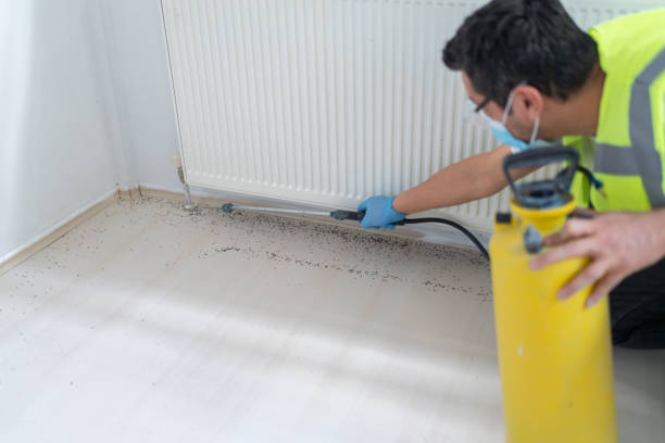 Best Pest Control Near Me  in Tunkhannock, PA